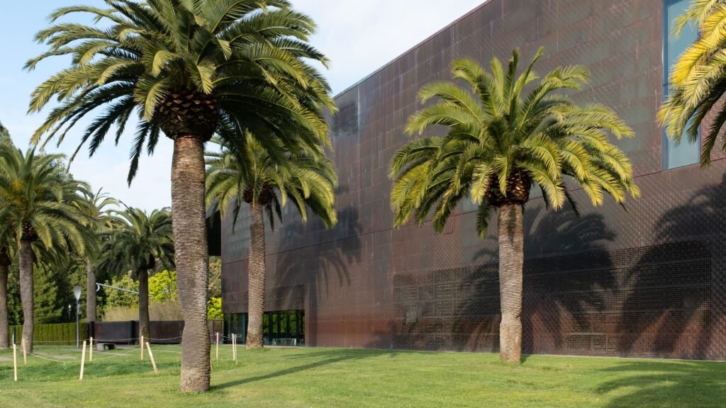 Review: San Francisco Museum of Modern Art